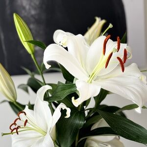 Meet your Posher, Tetiana